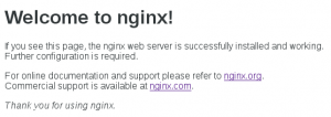 welcome nginx